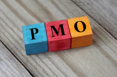 An illustration that helps with effective corporate management that shows the(PMO) procedure
